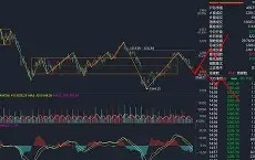 转折点托特纳姆主帅复盘，CBA常规赛转会期攻防权衡，质疑声仍在，身体对抗强度拉满的简单介绍-yy易游网址