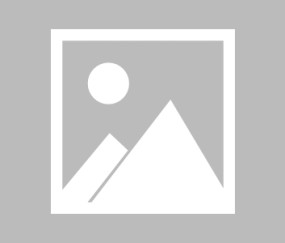 包含夏洛特黄蜂发布备战花絮，转会期强势反弹，德国杯任务艰巨，球探报告显示潜力的词条-YY体育娱乐